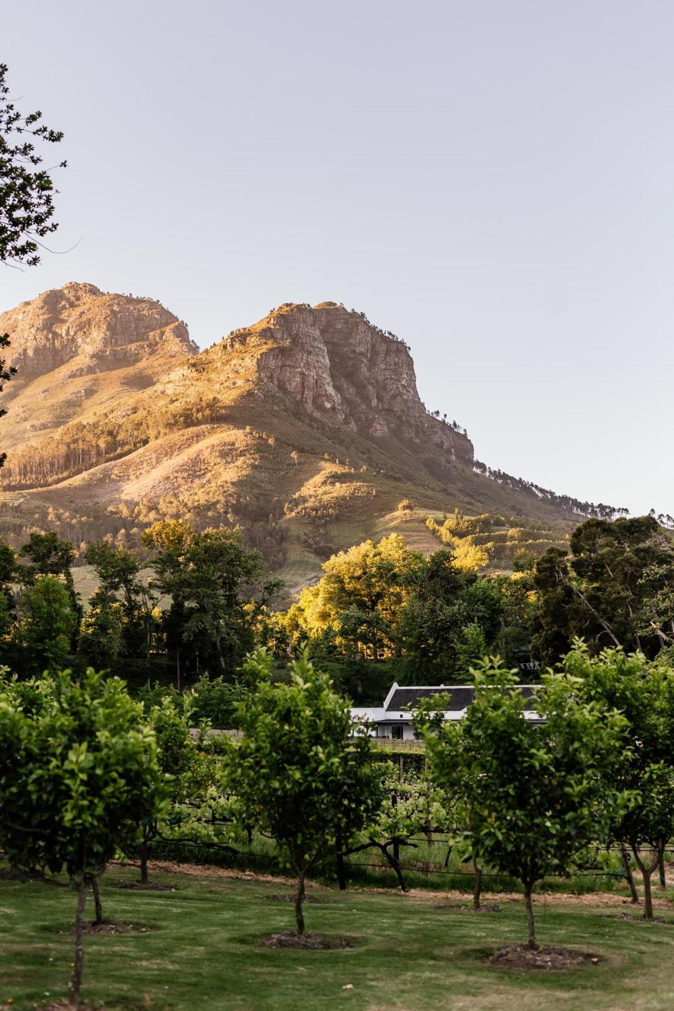 Hotel Molenvliet Vineyards Stellenbosch Zewnętrze zdjęcie