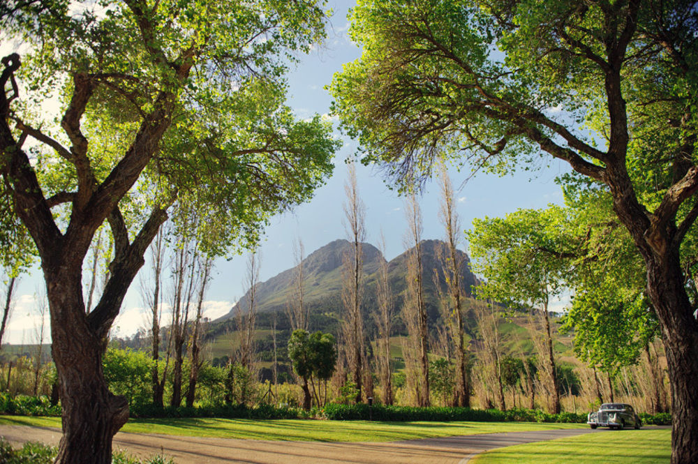 Hotel Molenvliet Vineyards Stellenbosch Zewnętrze zdjęcie